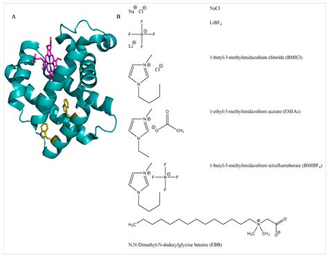 [DIAGRAM] Structure Of Myoglobin Diagram - MYDIAGRAM.ONLINE