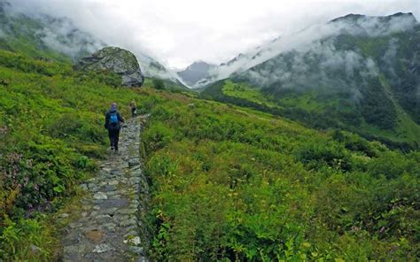 Valley of Flowers Tour With Hemkund Sahib | Trekking Package