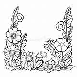 Coloring Flower Border Stock Illustrations – 8671  sketch template