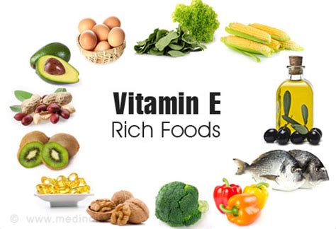 Vitamin E Rich Foods - Slideshow