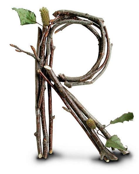 Grape Vine | Alphabet photography, Letter photography, Stick letters