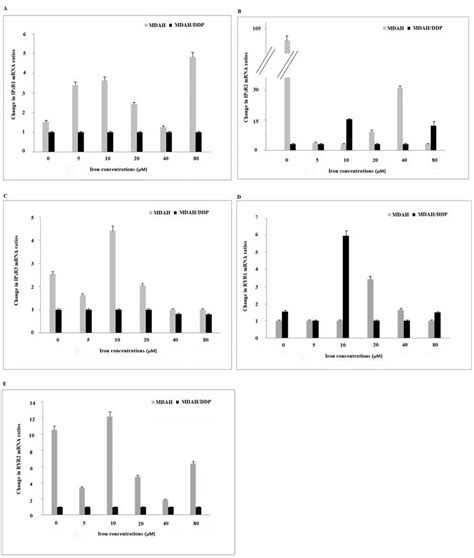 Gene expression of the IP3R1/2/3, RYR1 and RYR2 Ca 2+ channels in the ...