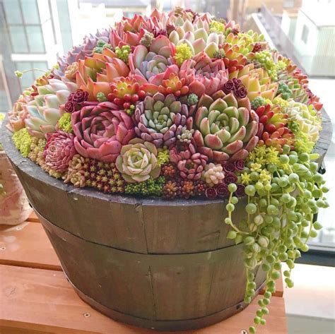 15 Unique and Beautiful Container Garden Ideas - Sanctuary Home Decor ...