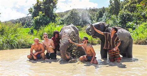 Ethical Elephant Sanctuaries in Thailand - Responsible Tourism | Elephant Haven