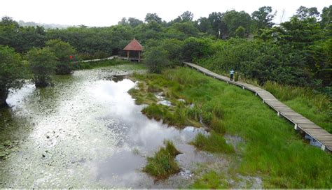 Beddagana Wetland Preservation | Urban Nature Atlas