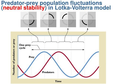 PPT - Predator-prey interactions: lecture content PowerPoint ...