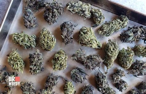 Smoking Decarbed Weed: Understanding Its Effects, Potency, and Risks