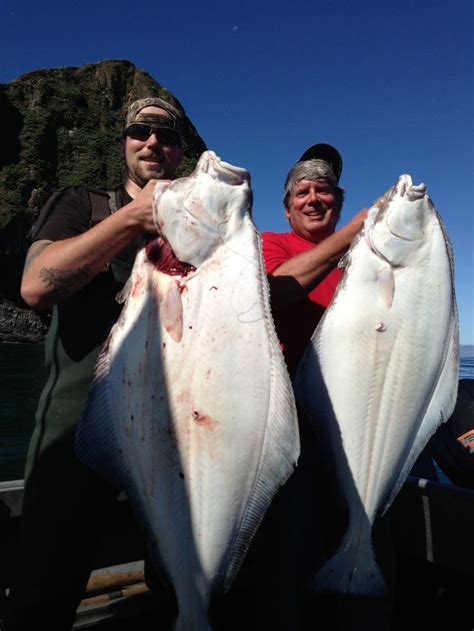 60lb halibut dory fishing pacific city oregon 6/29/13 | Pacific city oregon, Pacific city, Dory fish