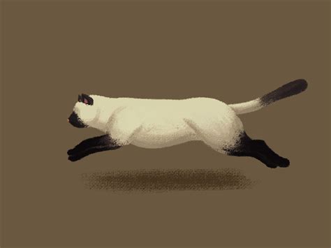 Running cat by Narcissa on Dribbble