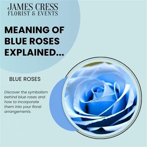 Meaning of Blue Roses: Color & Symbolism | James Cress Florist