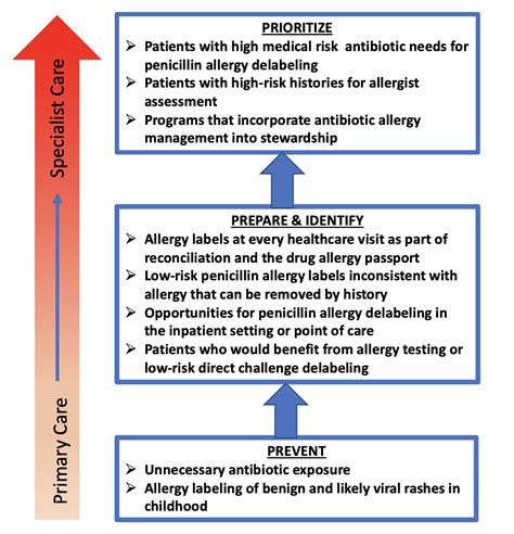 Addressing Beta-lactam Allergy: A Time for action - Authorea