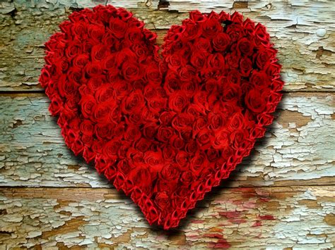 Heart Of Red Roses Free Stock Photo - Public Domain Pictures