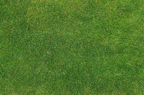 Premium Photo | Football field. grass texture. green lawn. natural ...