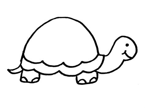 Free Turtle Outline, Download Free Turtle Outline png images, Free ClipArts on Clipart Library