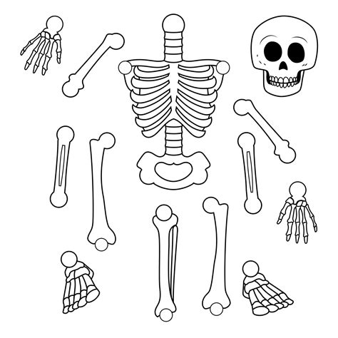 Large Skeleton Template - 20 Free PDF Printables | Printablee