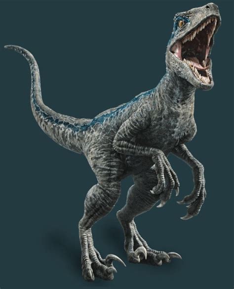 Jurassic World Fallen Kingdom full photo of the Velociraptor | 恐竜の絵, 動物, 恐竜