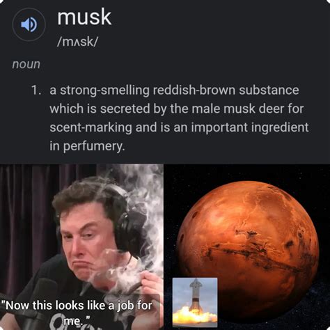 Musk for president of Mars maybe? - Meme by JoeSayz :) Memedroid