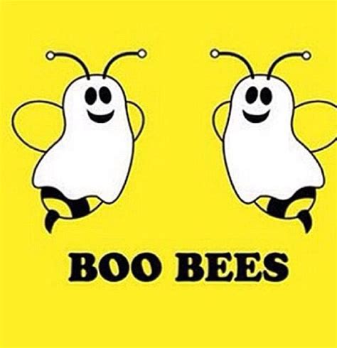 " boo bees " Halloween humor | Funny memes, Funny, Funny pictures