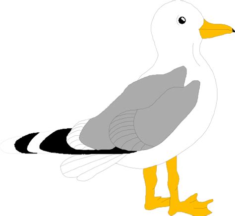 Seagull Outline - ClipArt Best