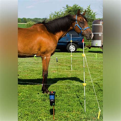 Portable Horse Corral | Electric Horse Fencing