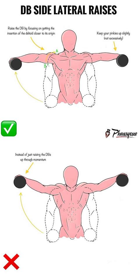 HOW TO DB SIDE LATERAL RAISES