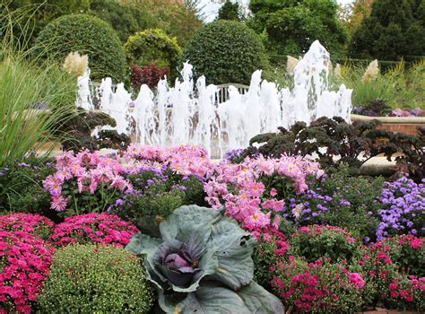 Romancing the Home: Fall Color at the Chicago Botanic Gardens