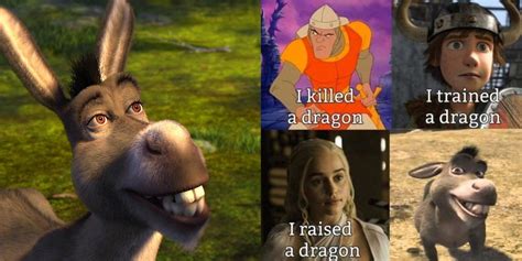 Shrek: 9 Memes That Perfectly Sum Up Donkey As a Character