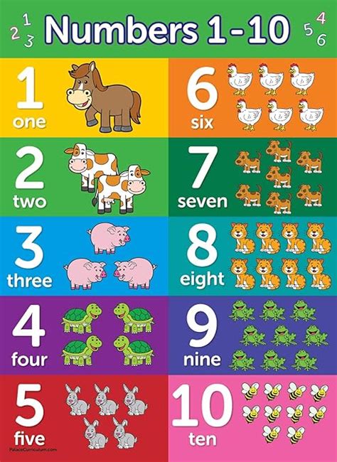 Numbers 1-10 Poster Chart - LAMINATED 18 x 24 - Double Sided Poster : Amazon.in: Home & Kitchen