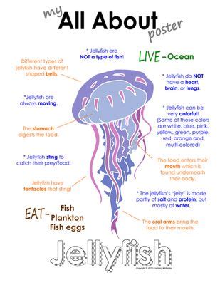 My All About Jellyfish Book - Ocean Animal Unit Study from Courtney McKerley on TeachersNotebook ...