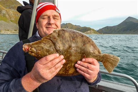 Hosted Sea Fishing Lofoten Islands | Sportquest Holidays