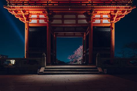 SEPCIAL NIGHT VIEWING | VISIT | KIYOMIZU-DERA TEMPLE