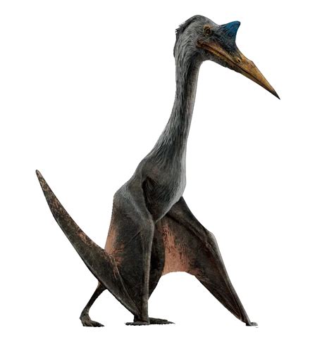 Quetzalcoatlus | Jurassic Park Wiki | Fandom