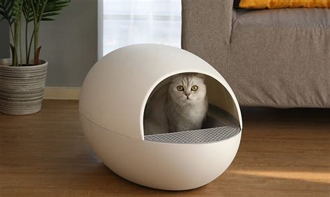 Self Cleaning Cat Litter Box - LMZOE