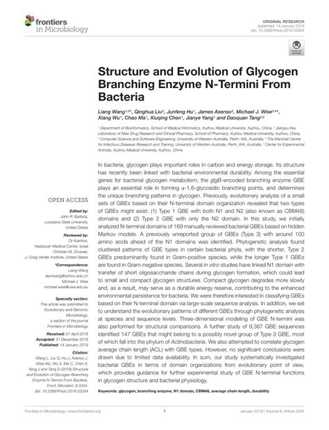 (PDF) Structure and Evolution of Glycogen Branching Enzyme N-Termini ...