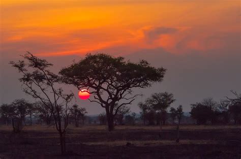 Serengeti Sunset | Serenget National Park, Tanzania | Anita Ritenour | Flickr