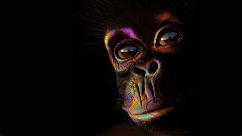 Monkey Art Wallpapers - Wallpaper Cave