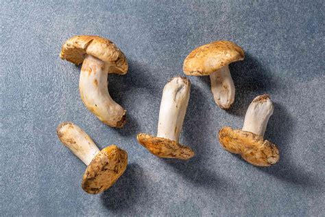 What Are Matsutake Mushrooms, and How Are They Used?