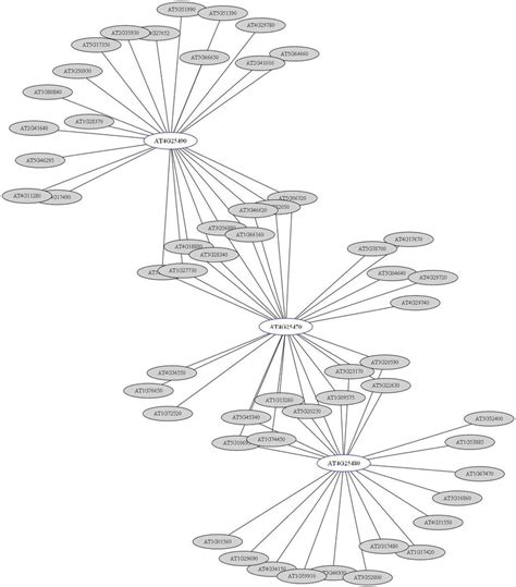 The figure on the left shows the gene members of the three clusters... | Download Scientific Diagram