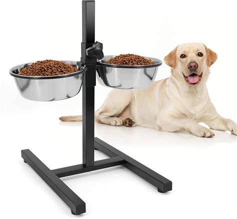 Amazon.com : Elevated Double Stainless Steel Dog Bowls with Iron Stand ...