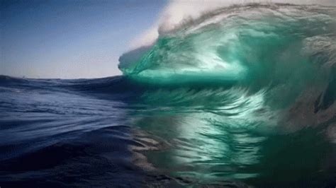 Wave GIF - Wave - Discover & Share GIFs