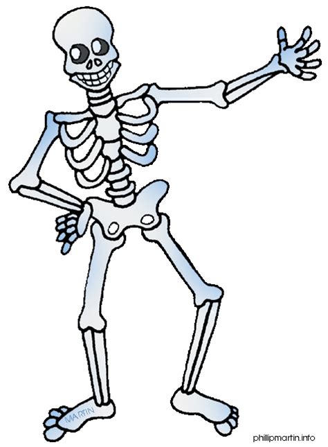 Skeletal Muscle Clip Art - ClipArt Best