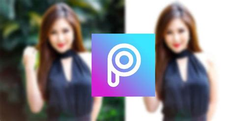 Hướng dẫn xóa phông ảnh bằng PicsArt - Download.vn