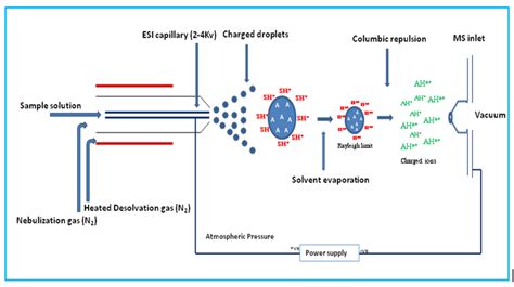 Electrospray Ionization Mass Spectrometry