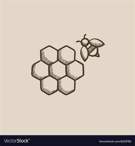 Honeycomb and bee sketch icon Royalty Free Vector Image