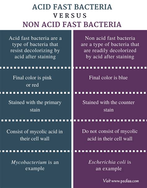 Difference Between Acid Fast and Non Acid Fast Bacteria | Definition ...