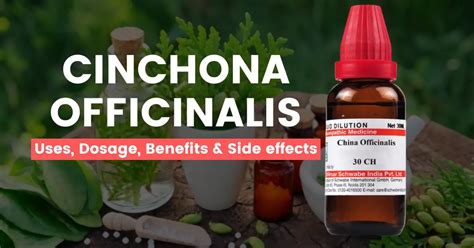 Cinchona Officinalis Q, 30, 200, 1M - Uses & Side Effects