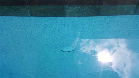 Pool plaster patch repair, possible to DIY? : HomeImprovement