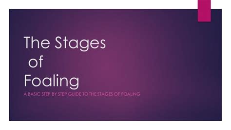 Stages of Foaling