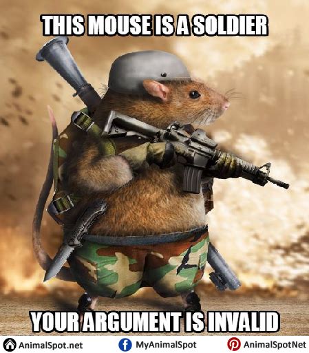 Mouse Memes