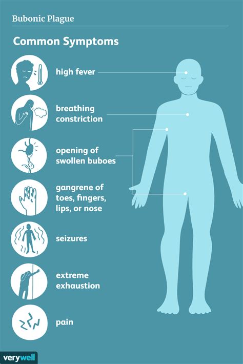 Bubonic Plague: Symptoms, Treatment, and More